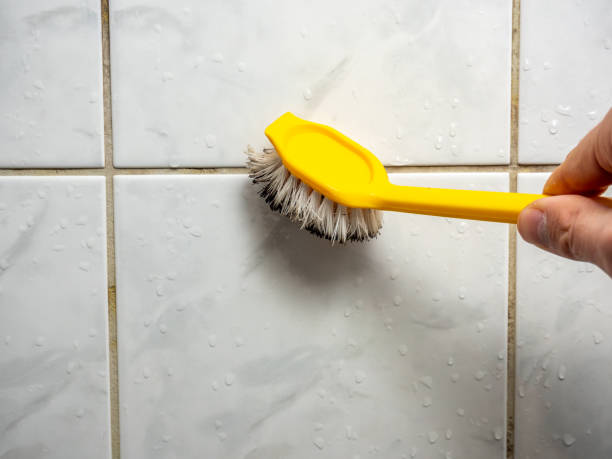 Best Mold Remediation  in South Oroville, CA