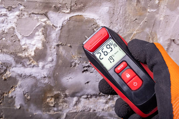 Best Mold Remediation  in South Oroville, CA