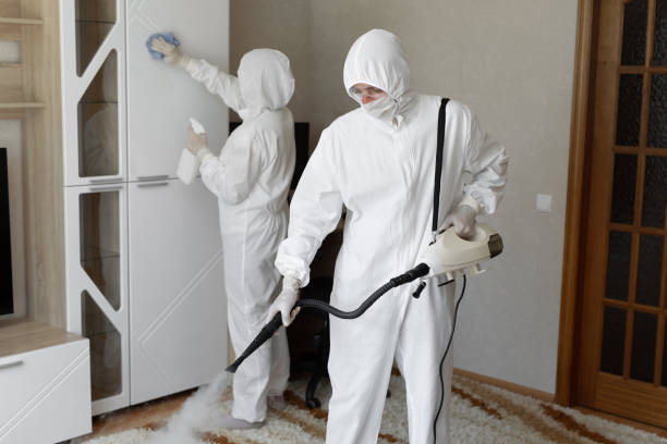 Best Attic Mold Removal  in South Oroville, CA