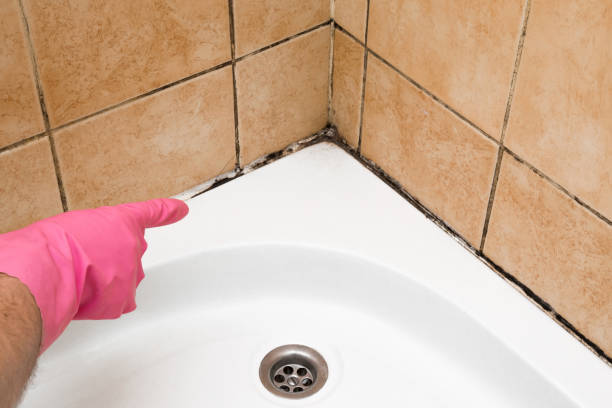 Crawl Space Mold Removal in South Oroville, CA